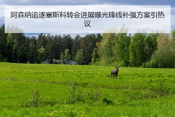 阿森纳追逐塞斯科转会进展曝光锋线补强方案引热议 - kaiyun